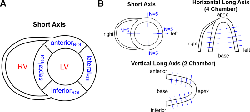 Figure 2: