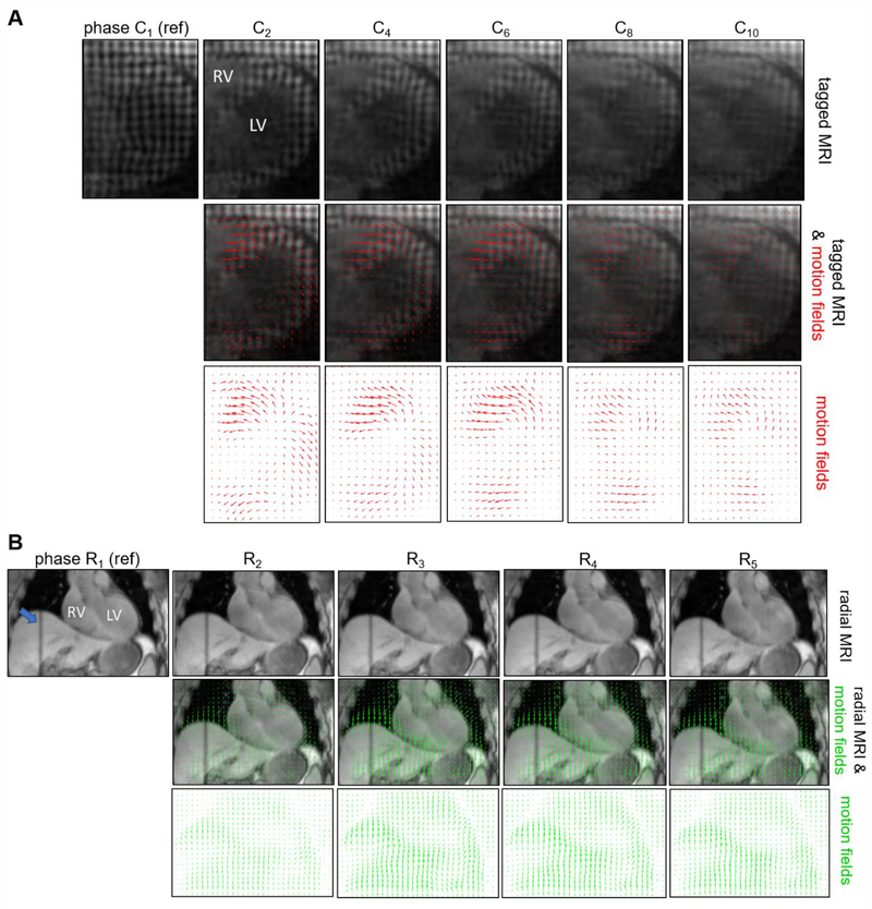 Figure 3: