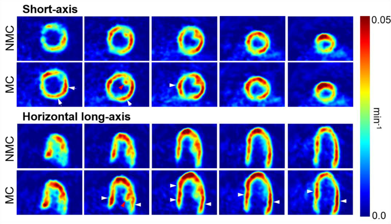 Figure 10: