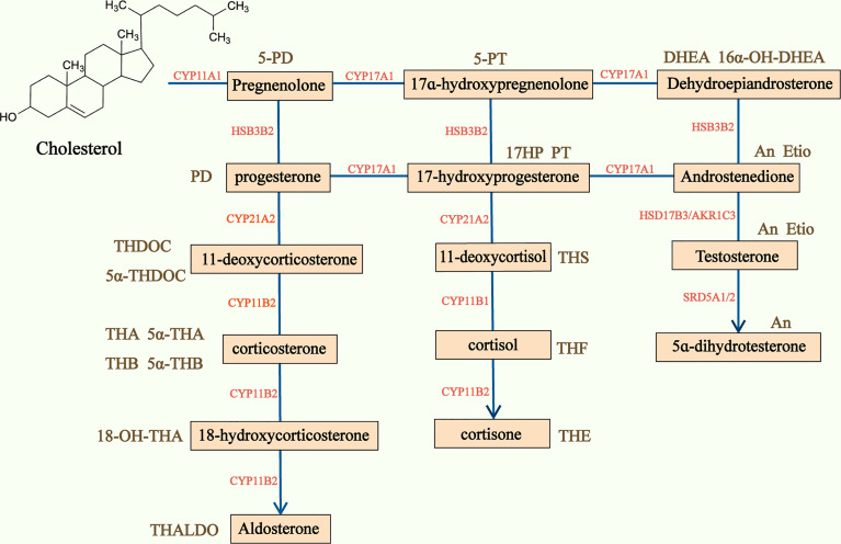 Figure 3