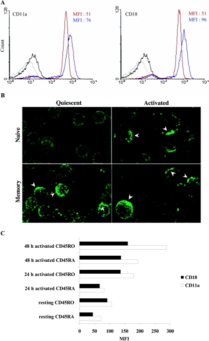 FIG.4.