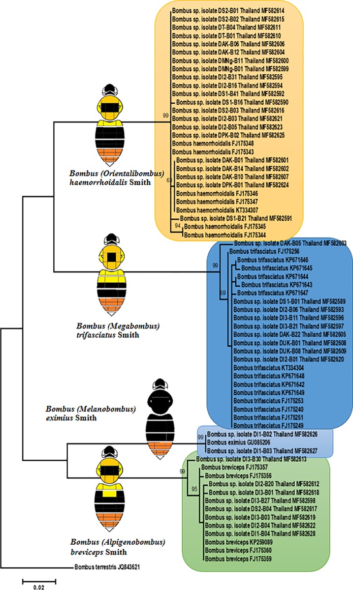 Fig 3