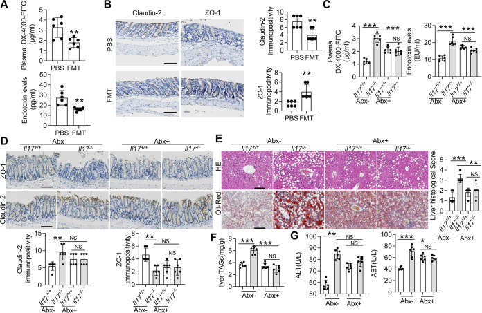 FIG 6