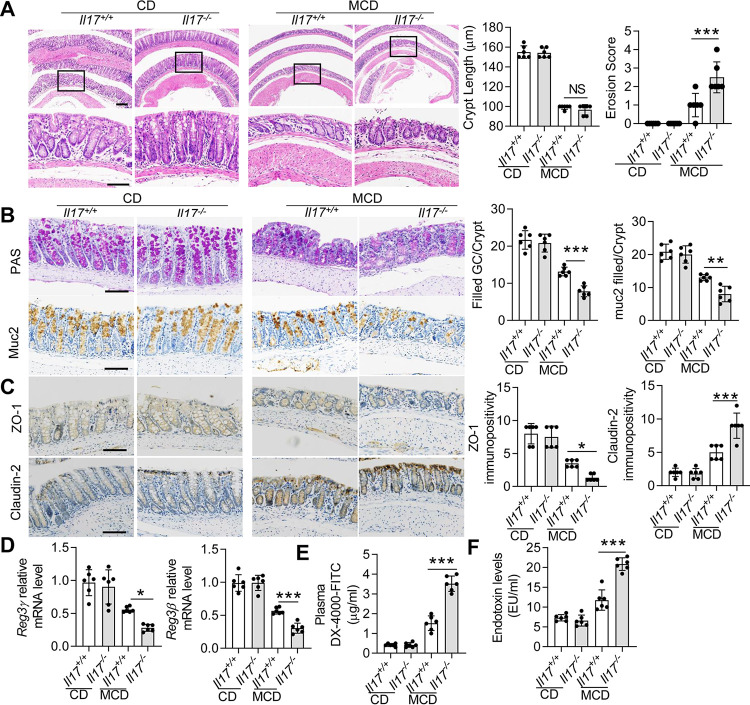 FIG 3