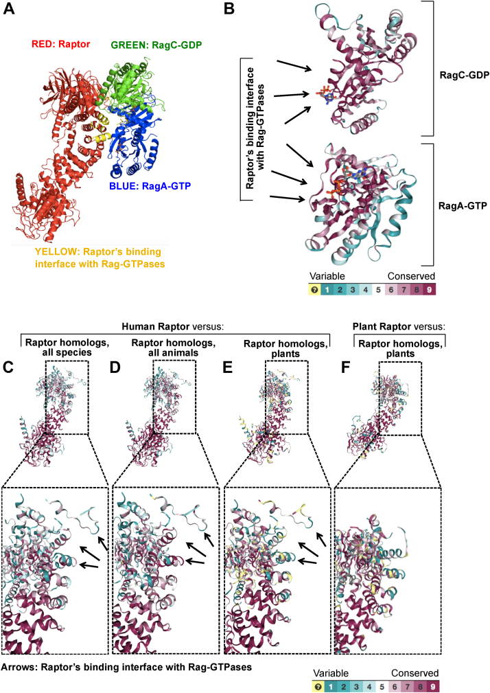 Figure 2