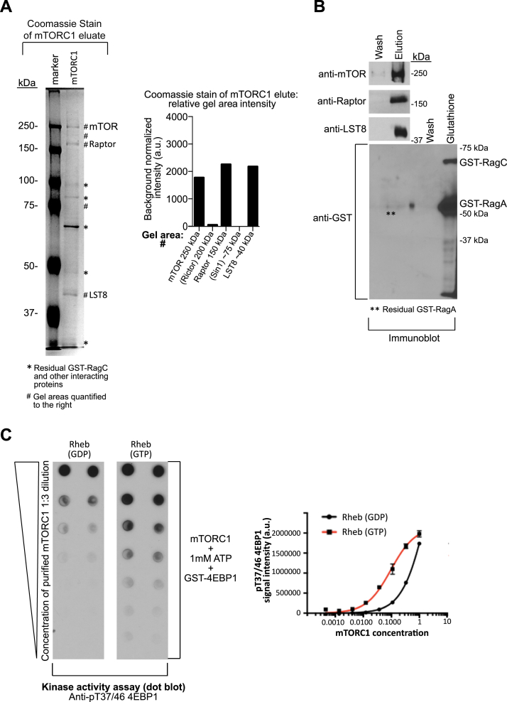 Figure 4