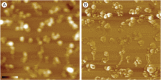 Fig. 4.