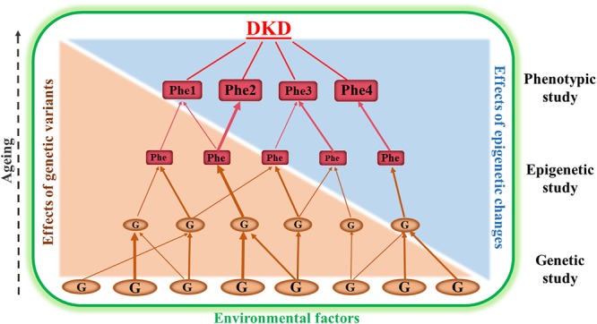 FIGURE 1