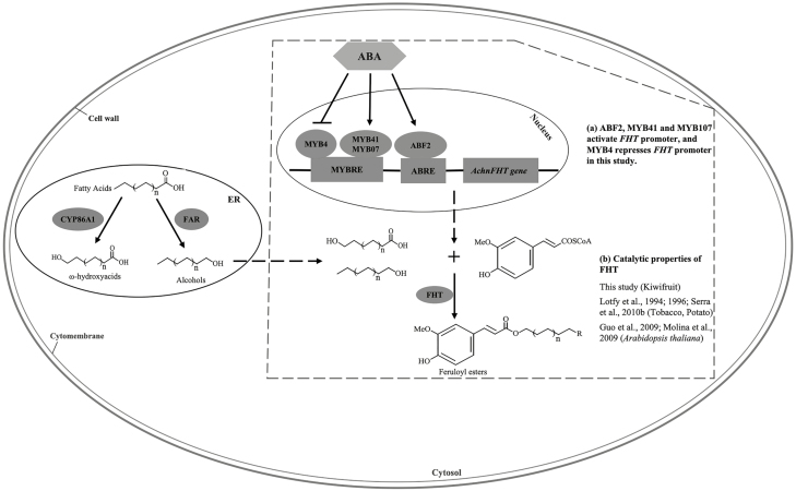 Fig. 8.