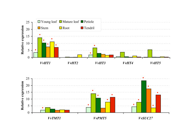 Figure 7