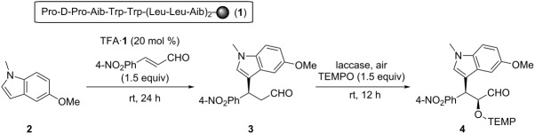 graphic file with name Beilstein_J_Org_Chem-08-1333-i001.jpg