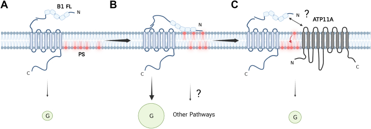 Figure 6