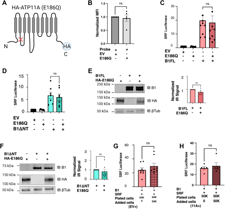 Figure 3