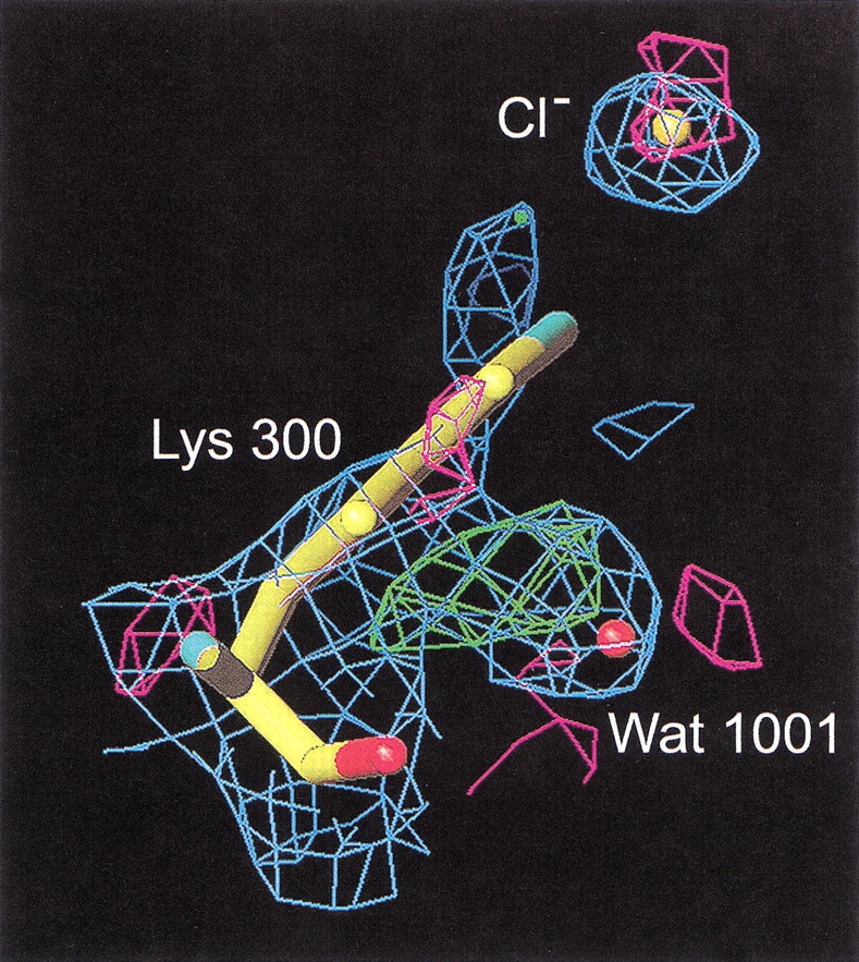 Fig. 4.