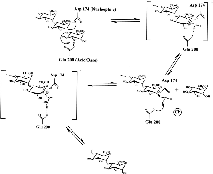 Fig. 5.