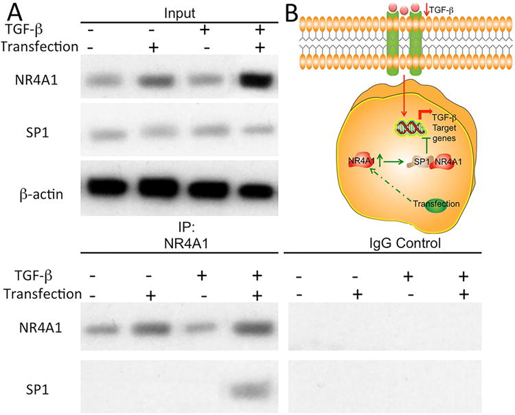 Fig. 8