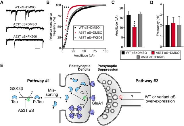 Figure 10.