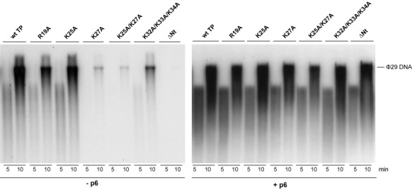 Figure 5.