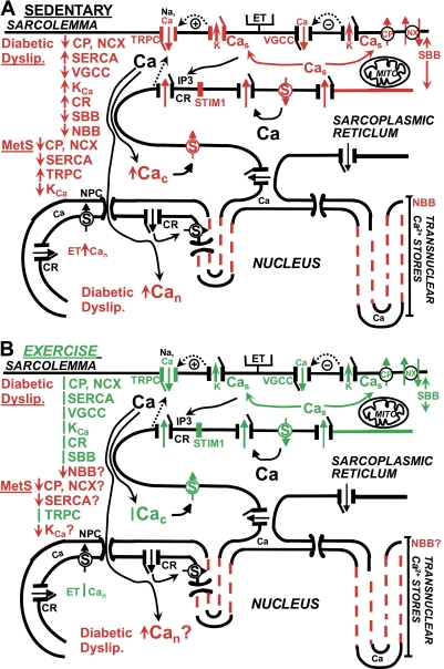 Fig. 3.