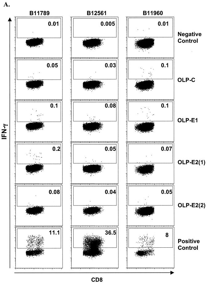 FIG. 3.