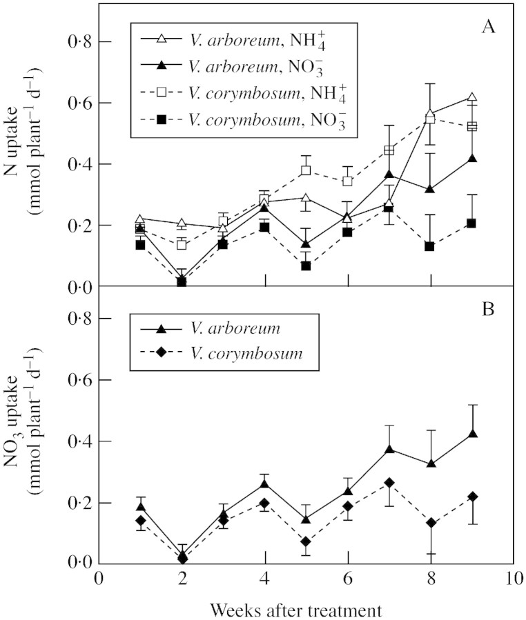 graphic file with name mch053f1.jpg
