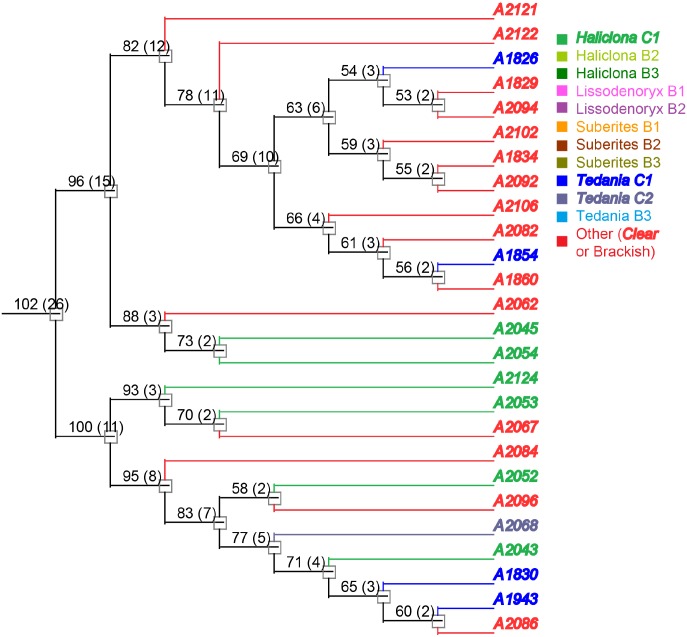 Fig 11