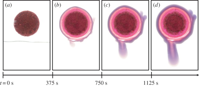 Figure 2.