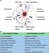 Eight hallmarks of neurodevelopmental disorders (NDDs) have been described [23].