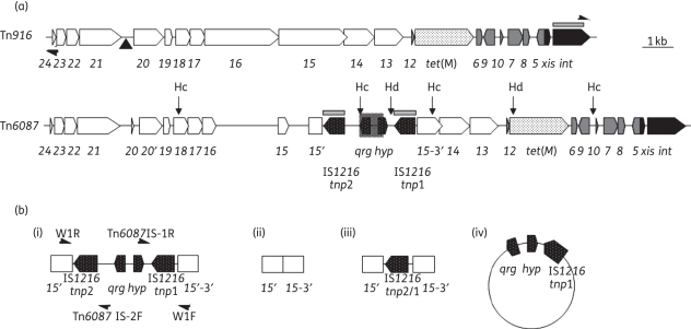 Figure 1.