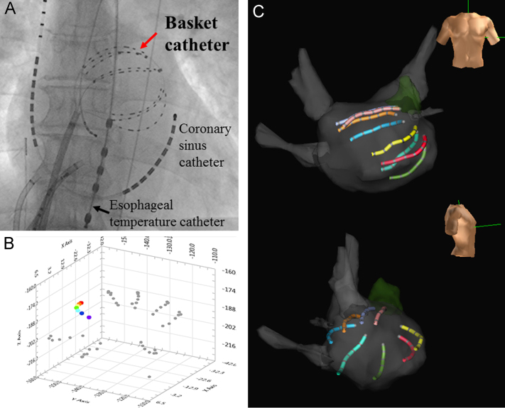 Fig. 1