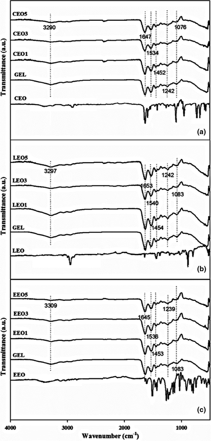 FIGURE 2