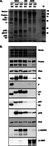 Fig 5