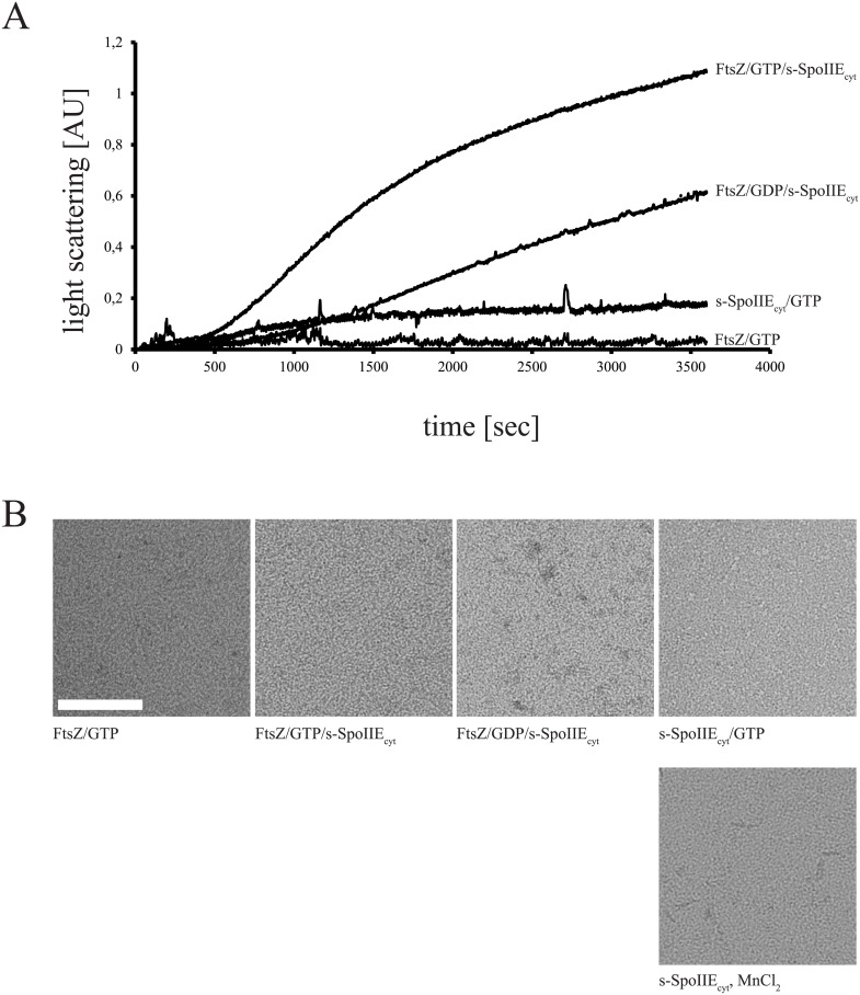 Fig 4