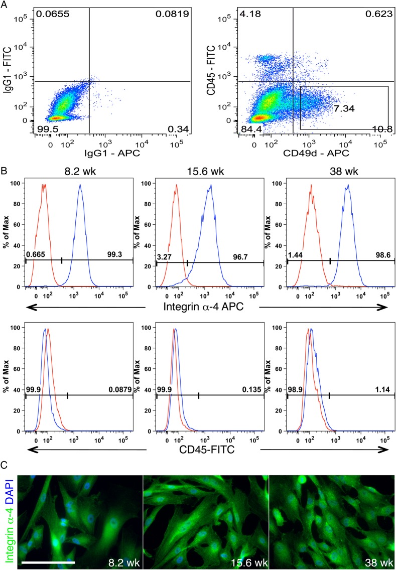 Figure 2