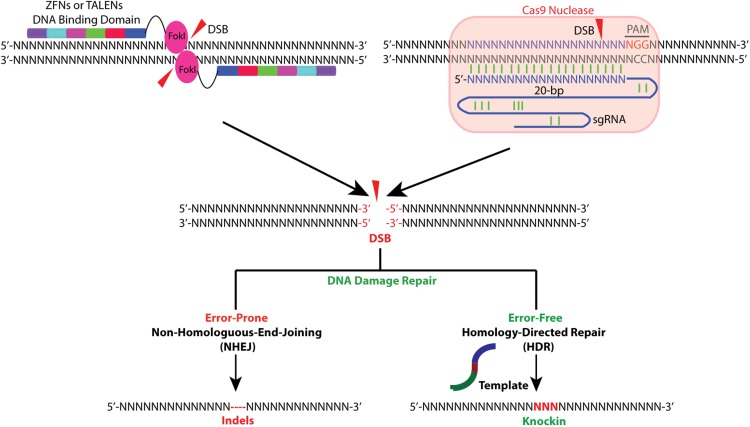 Figure 2.