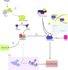 Fig. 1