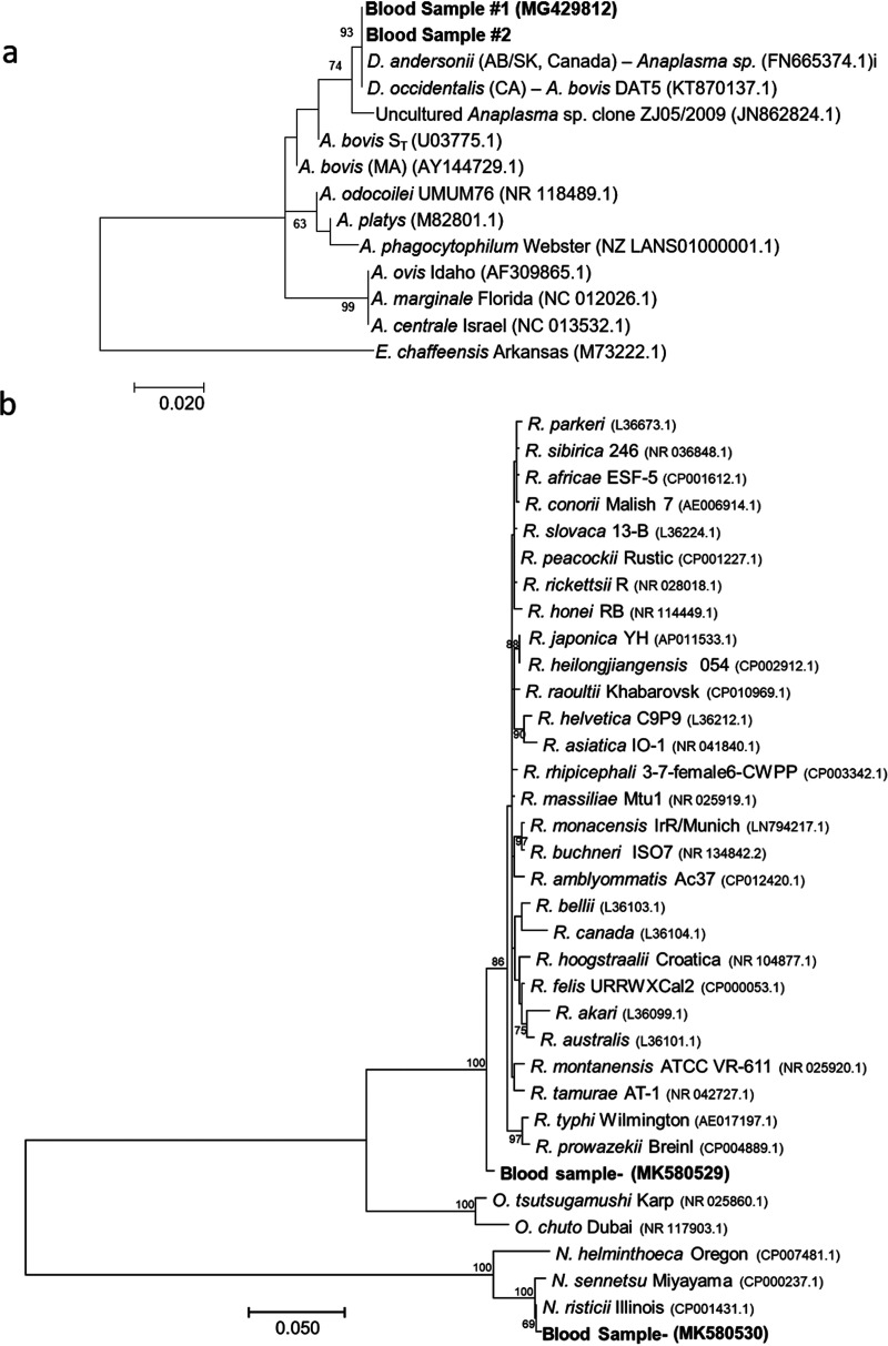 FIG 3