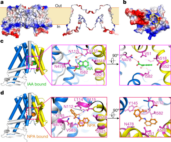 Fig. 3