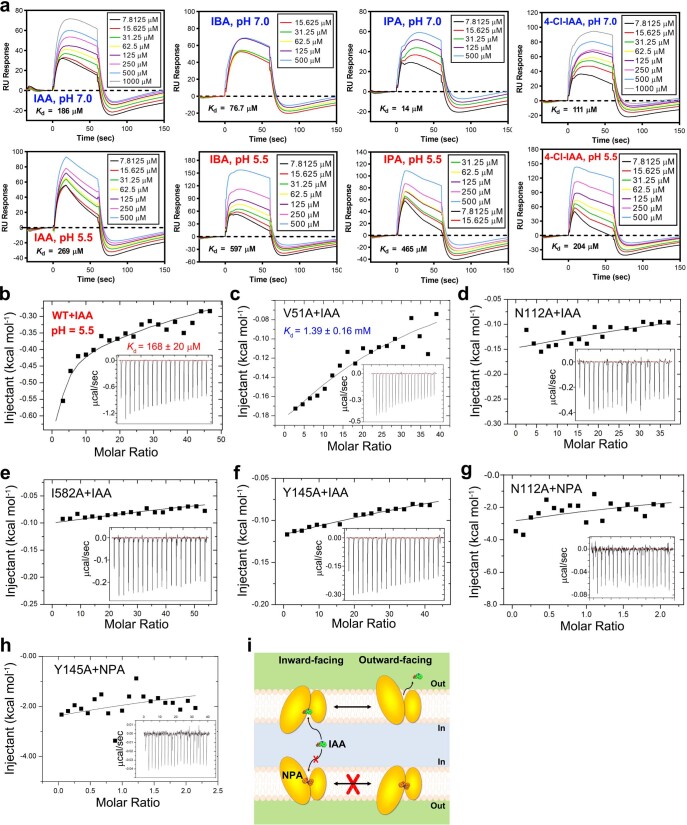 Extended Data Fig. 7