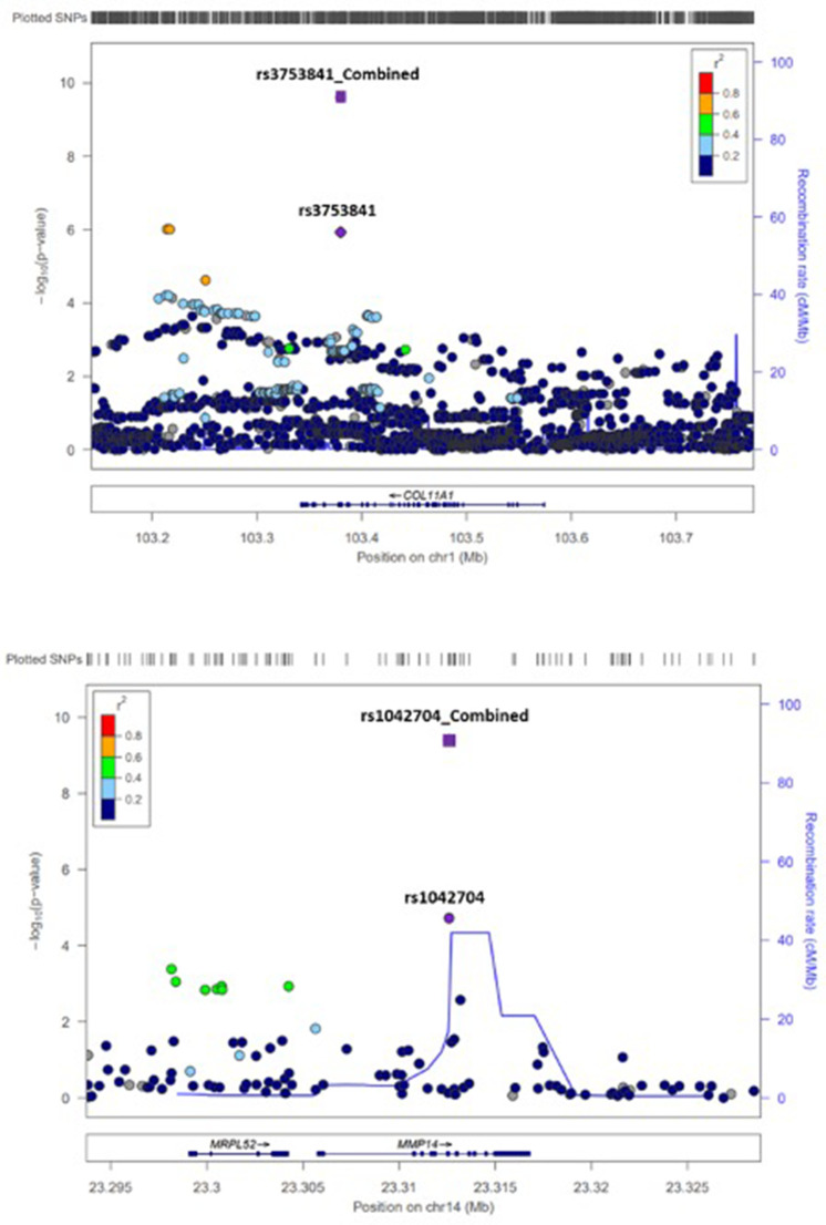 Figure 1—figure supplement 4.