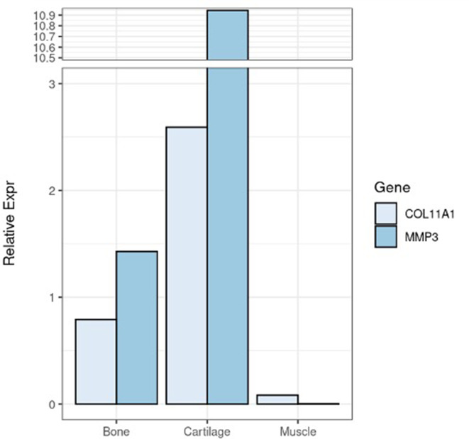 Figure 4—figure supplement 1.