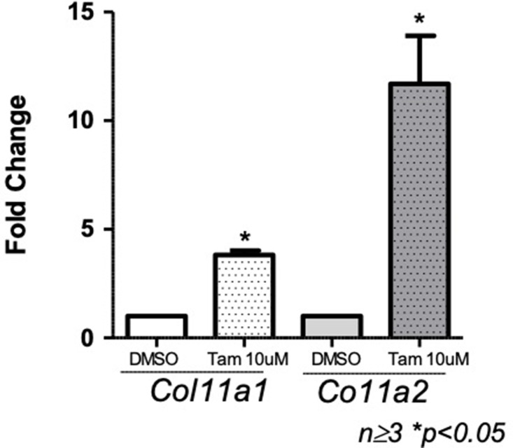 Figure 6—figure supplement 1.