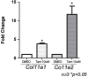 Figure 6—figure supplement 1.