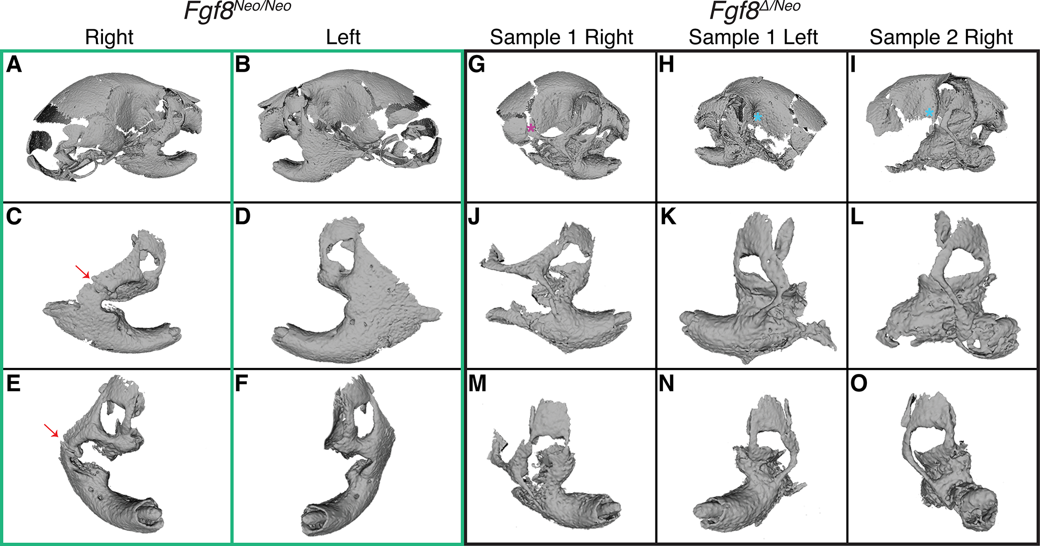 Figure 2: