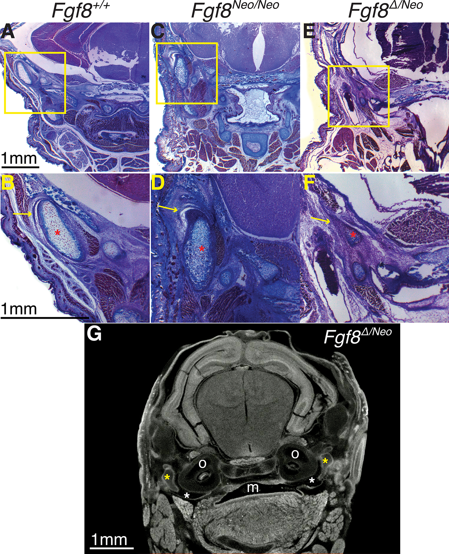 Figure 6: