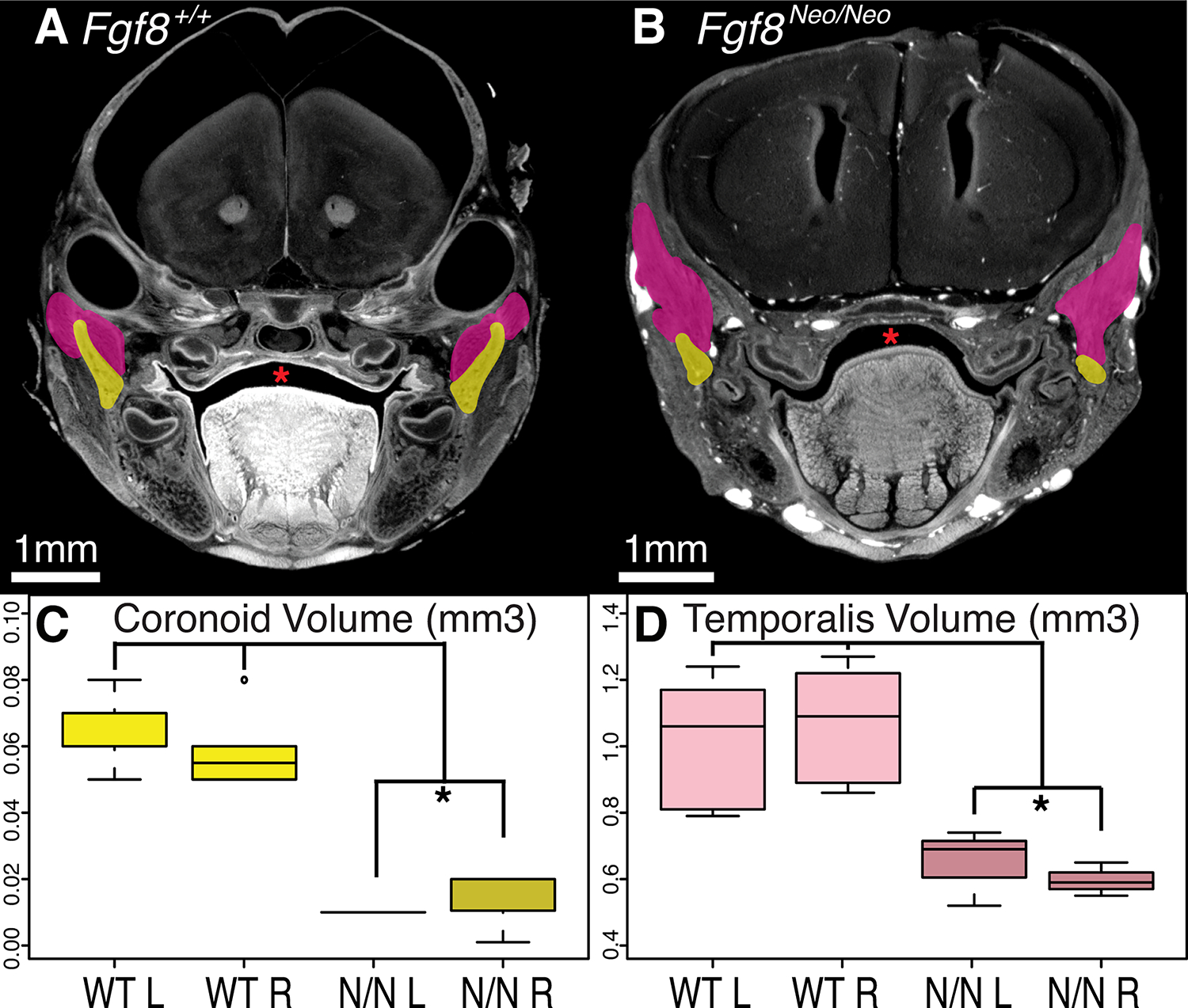 Figure 3: