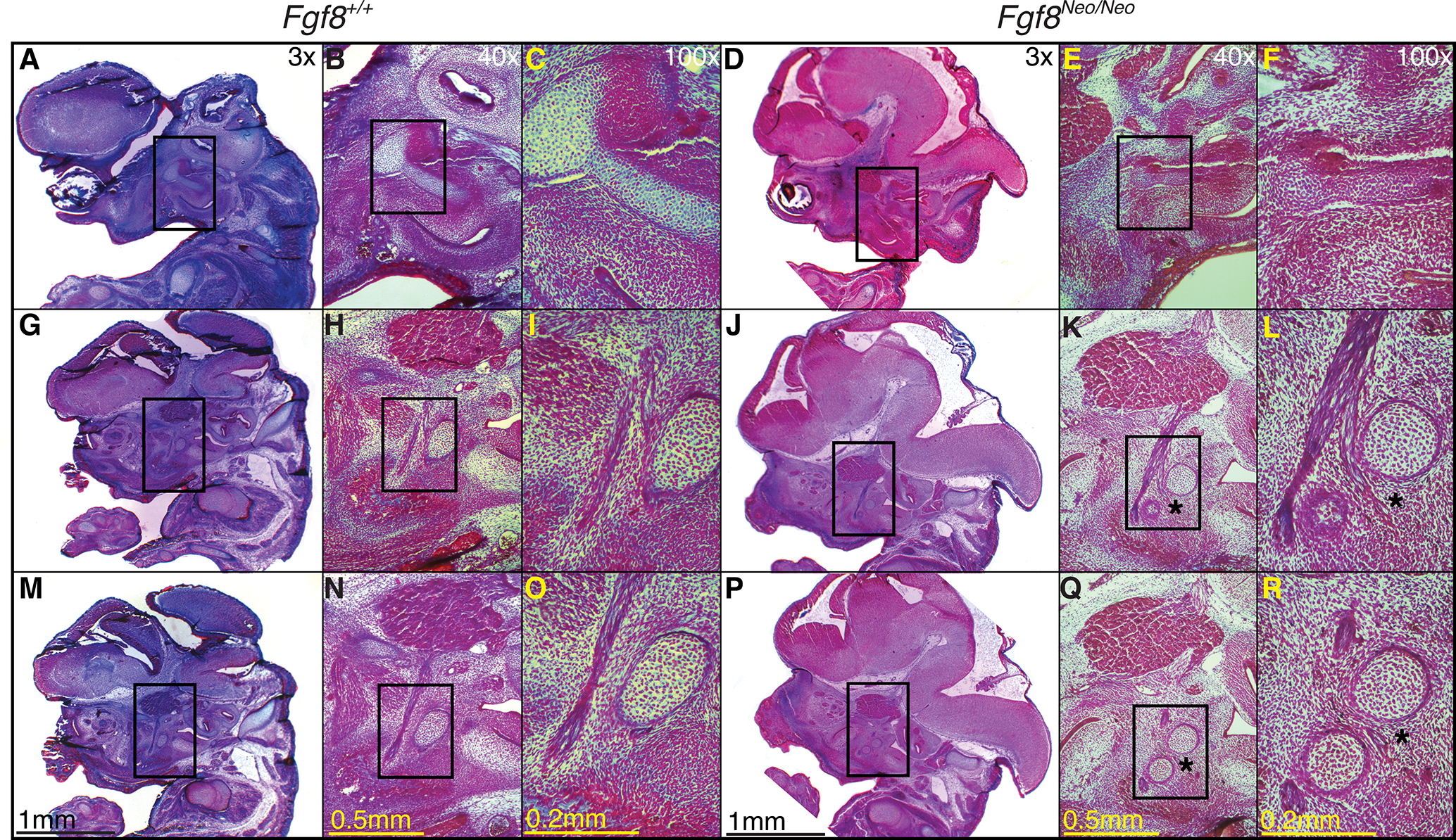 Figure 4: