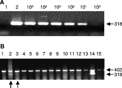 FIG. 5.