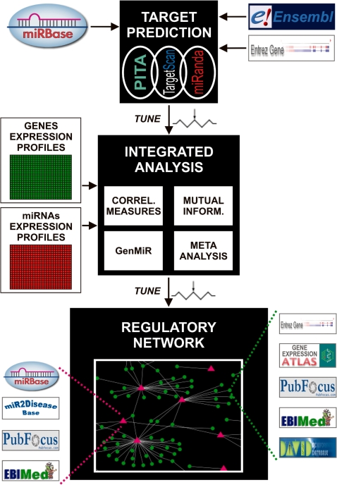 Figure 1.