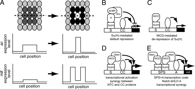 FIG. 1.